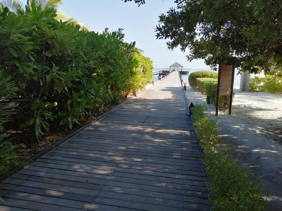 Gartenanlage Adaaran Select Meedhupparu Island Resort - Premium All Inclusive