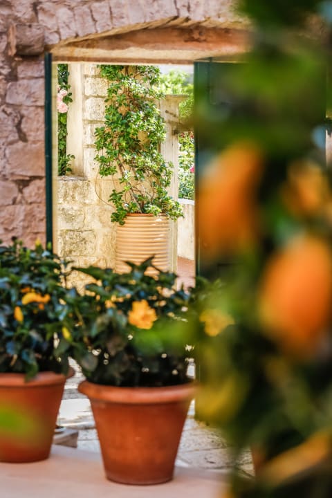 Gartenanlage Hotel Lemongarden