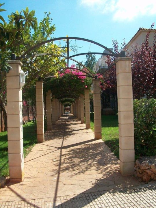 Toller Bogen mit Bugannvillea Protur Floriana Resort Aparthotel