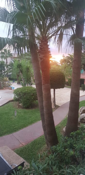 Gartenanlage Club Simó Hotel by Senator