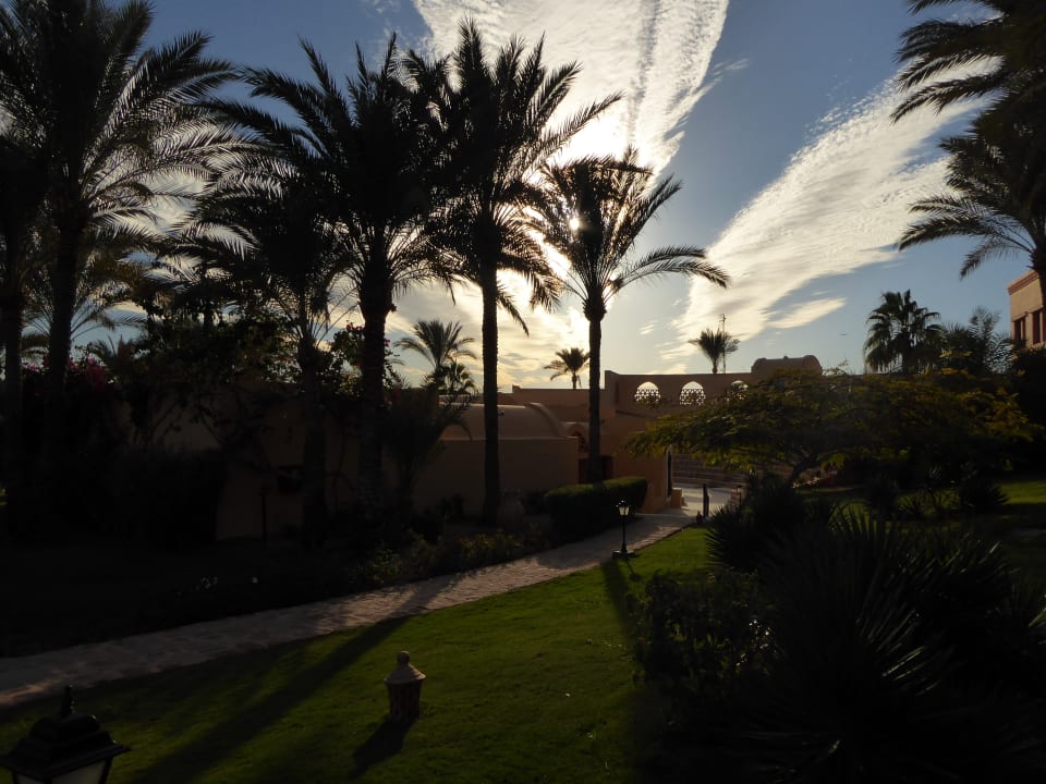 Gartenanlage Steigenberger Coraya Beach - Adults only