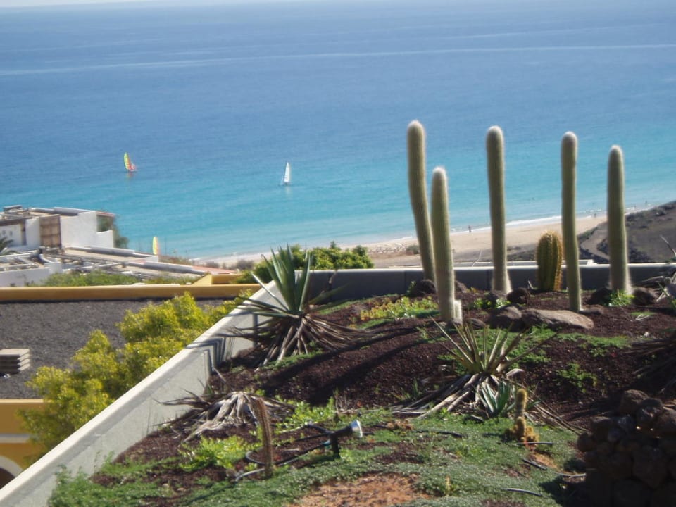 Der Weg war weit AluaVillage Fuerteventura