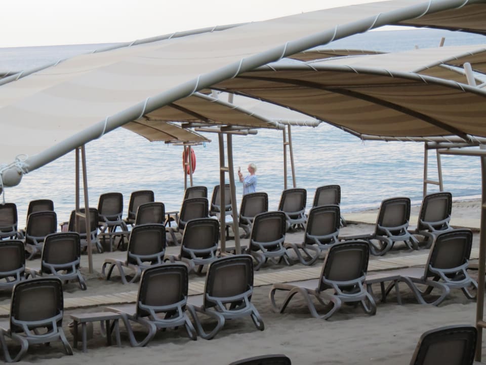 Strand Papillon Belvil