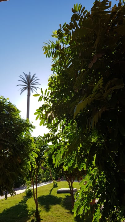 Botanischer Garten Pickalbatros Alf Leila Wa Leila Resort - Neverland Hurghada