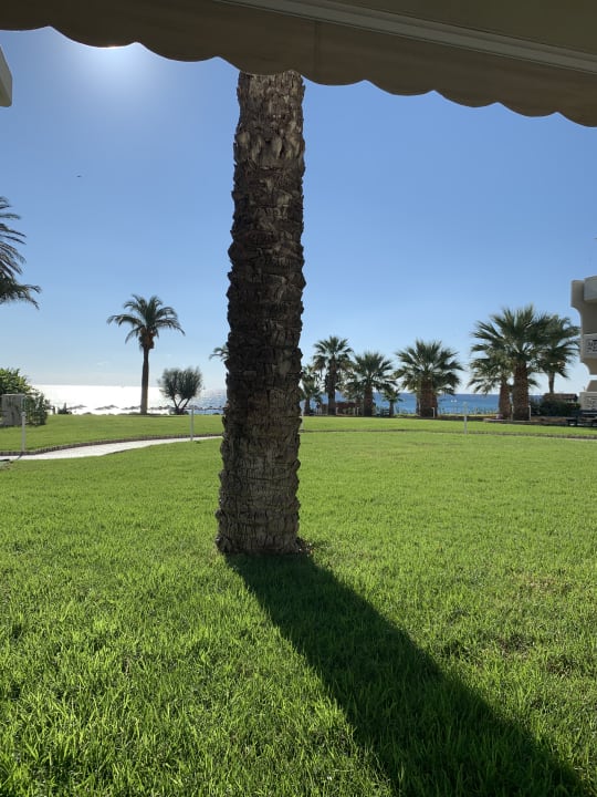 Gastro Rodos Palladium Leisure & Wellness