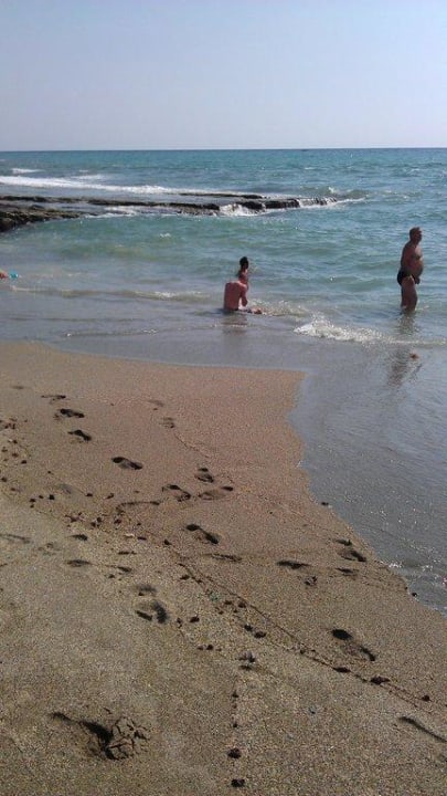 Der Strand  Kaila Beach Hotel