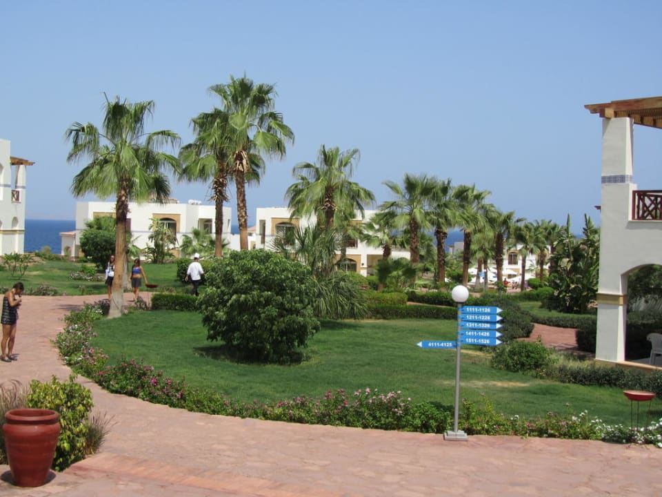 Hotel Shores Aloha Amphoras Blu