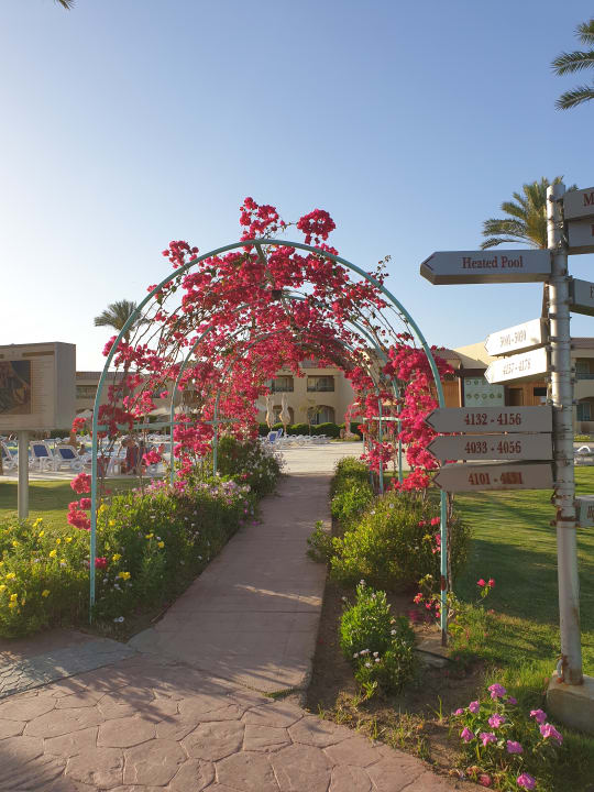 Pool Cleopatra Luxury Resort Makadi Bay