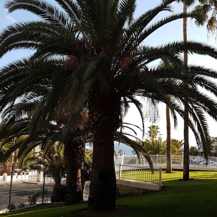 Zimmer Hotel Riu Arecas - Adults only