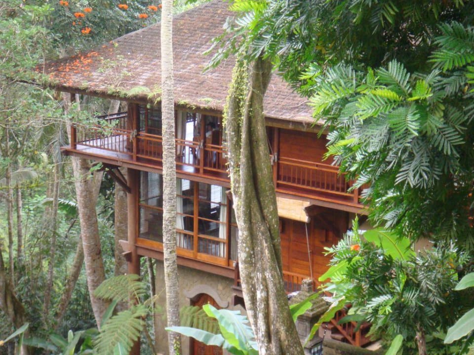 Baumhaus des Wasser Estate COMO Shambhala Estate