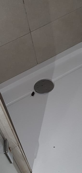 Zimmer LABRANDA Marieta - Adults only