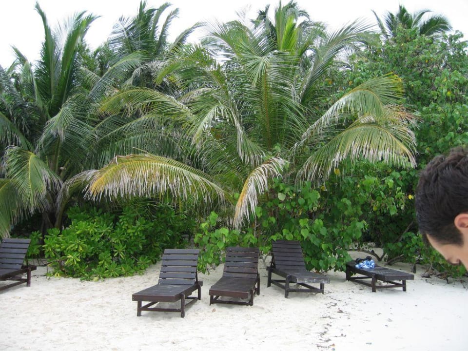 Strandimpressionen Vilamendhoo Island Resort & Spa