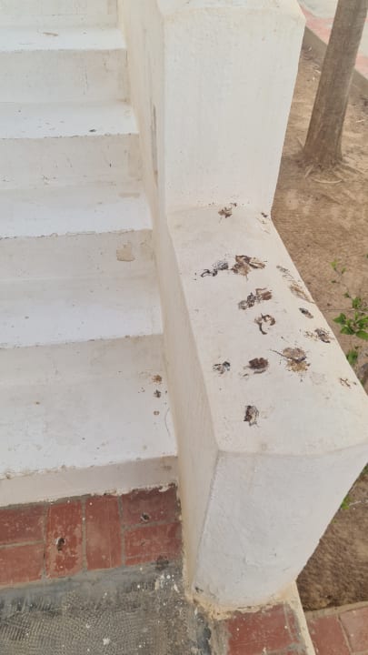 Außenansicht Royal Karthago Djerba