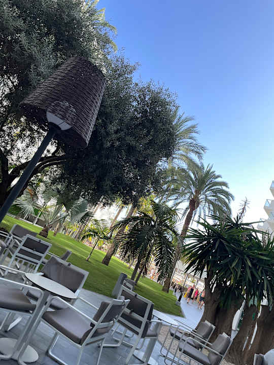 Gartenanlage Hotel Riu Papayas