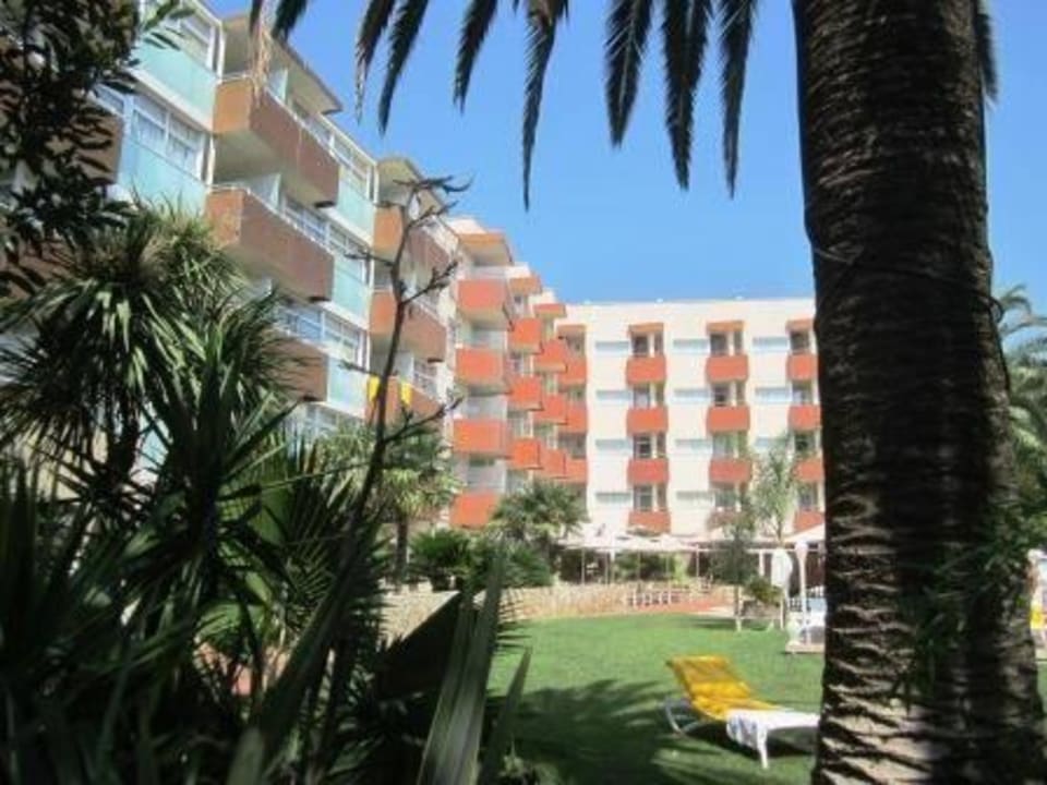 Сад и бассейн Hotel Monica
