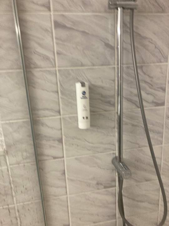 Zimmer Best Western Parkhotel Brehna - Halle