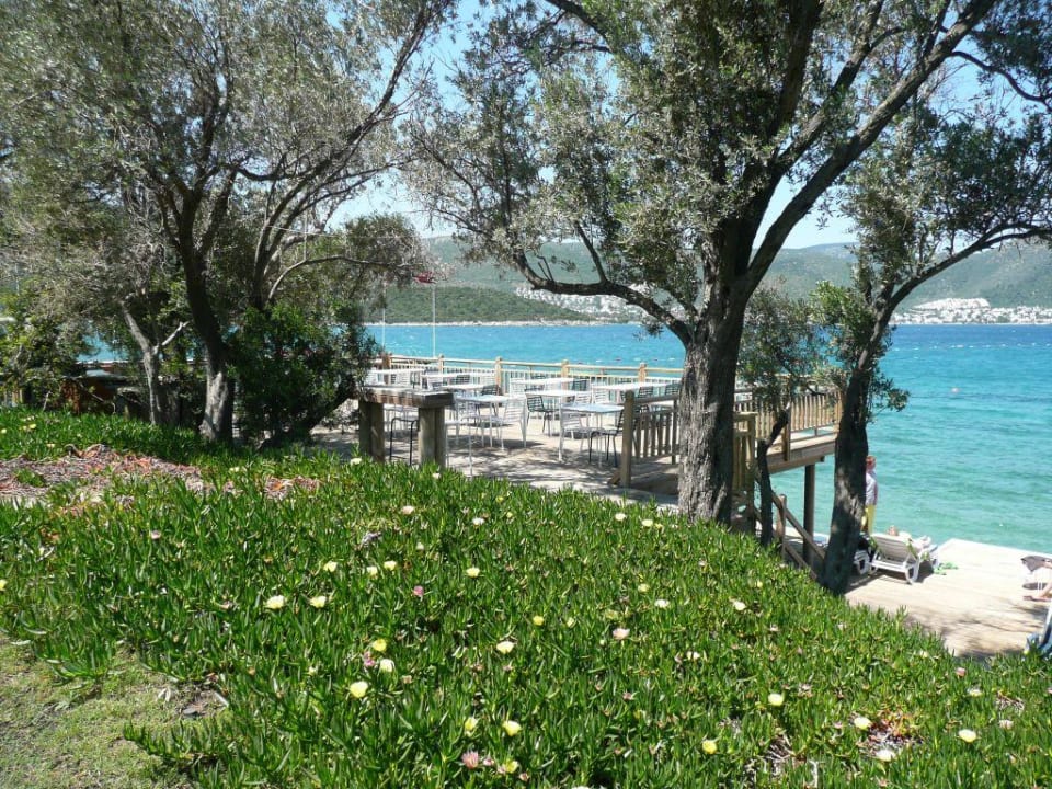 Gartenanlage mit Meer Doubletree by Hilton Bodrum Isil Club All-Inclusive Resort