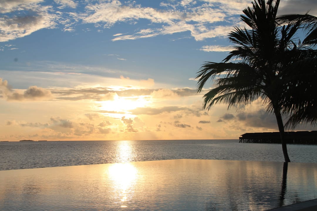 Infinity Vilamendhoo Island Resort & Spa