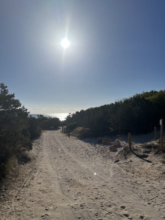 Ausblick Hipotels Bahía Cala Millor