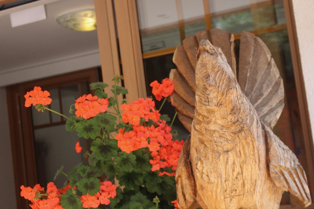 Sonstiges Wellnesshotel Forsthaus Auerhahn