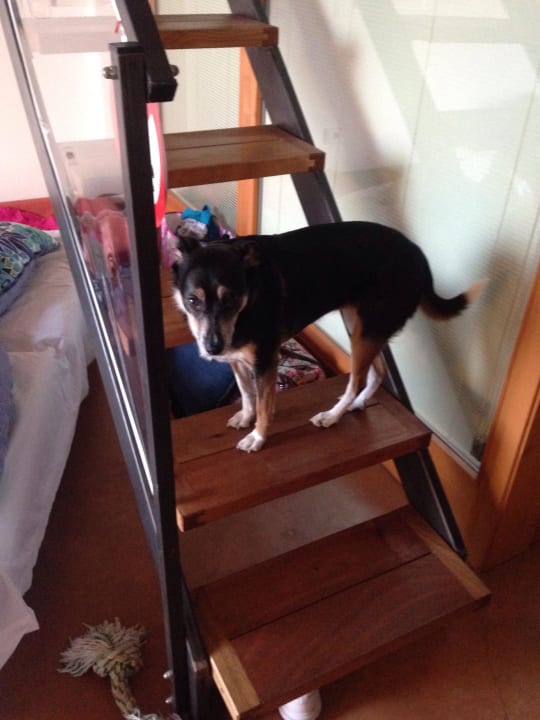 Stiege zum Schlafbereich Guesthouse Caselli Vigole al Sole