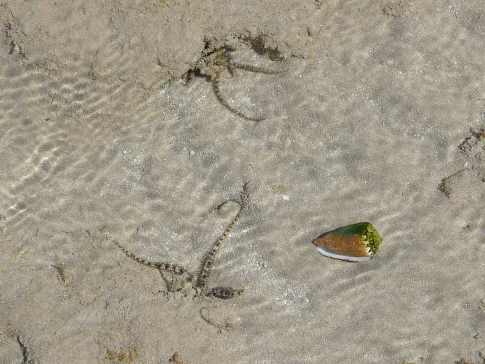 Toll Titanic Beach Spa & Aqua Park