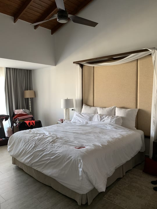Zimmer Dreams Dominicus La Romana