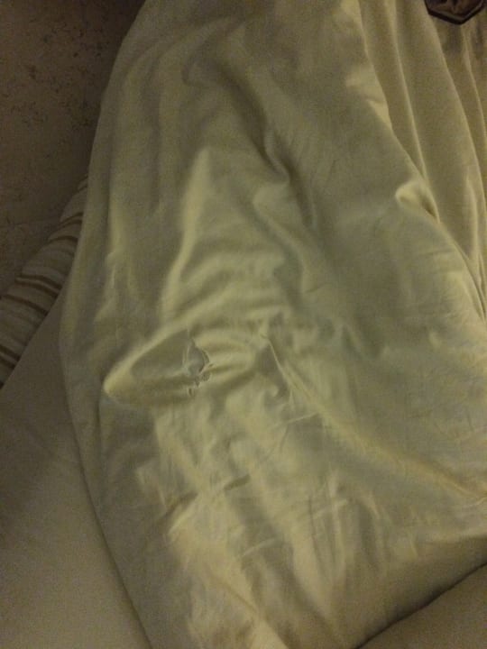 Zimmer Makadi Spa - Adults only