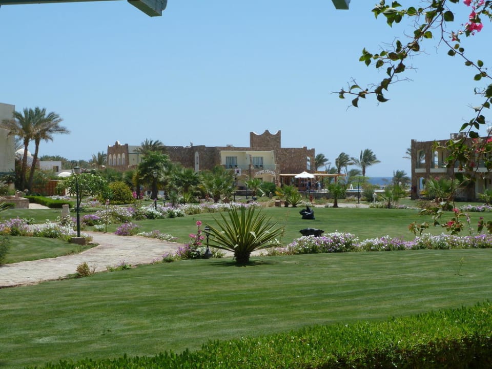 Blick von der Terrasse des Zimmers zur Tauchbasis Brayka Bay Resort