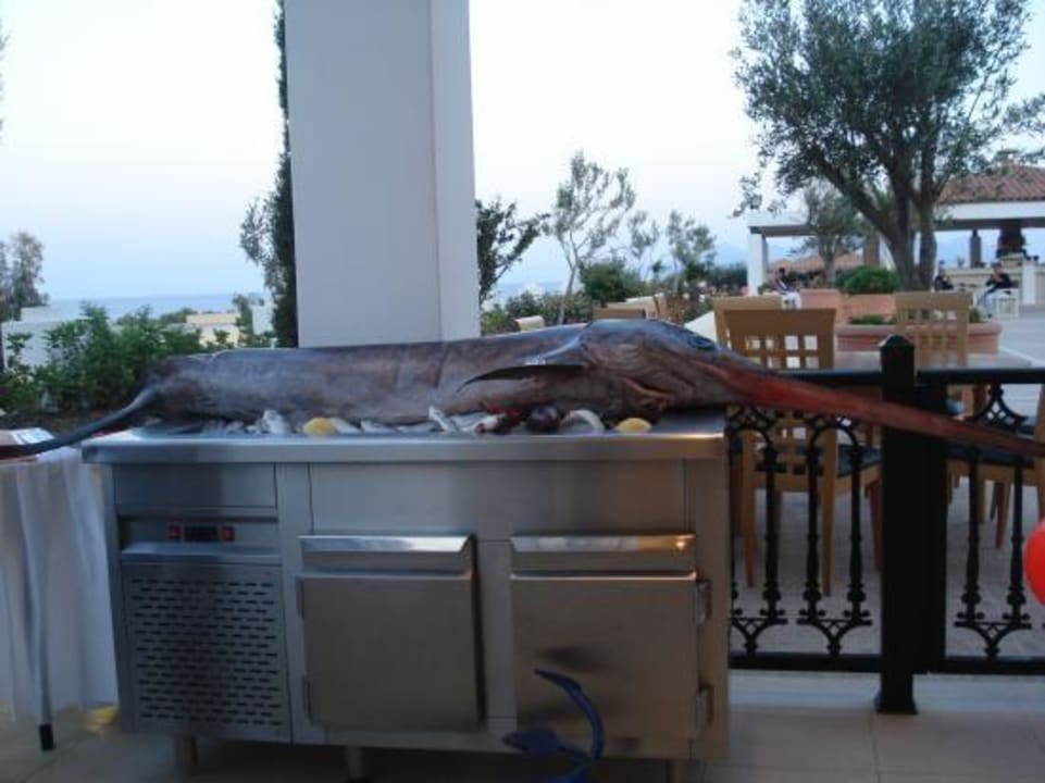 Riesenfisch im Restaurant Porto Bello Royal