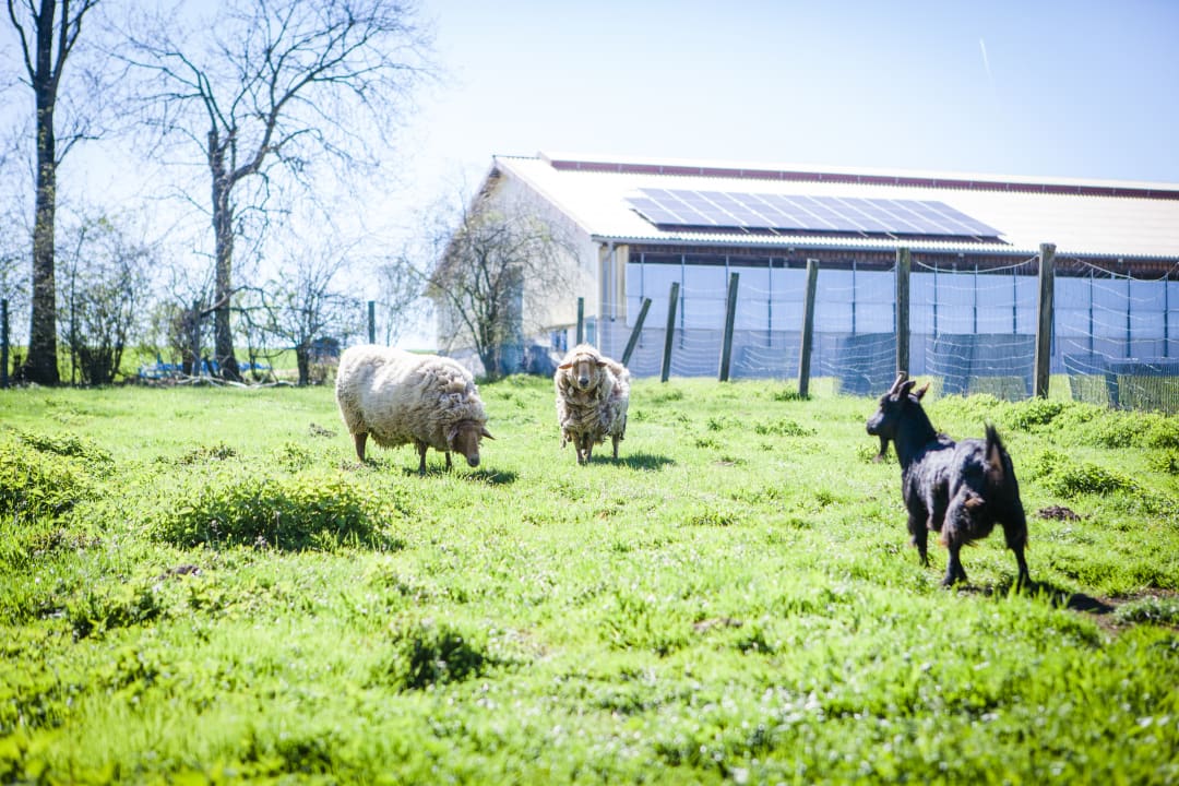 Sonstiges Ferienhof Gut Ummersberg