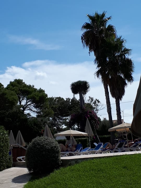 Gartenanlage Globales Cala Blanca