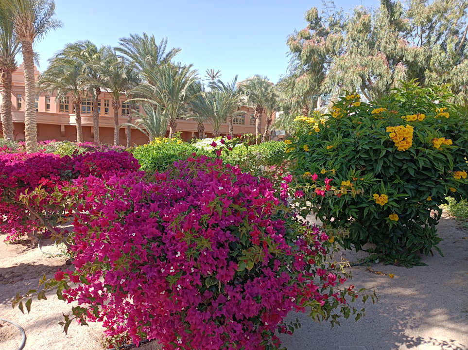 Sonstiges Mövenpick Resort & Spa El Gouna