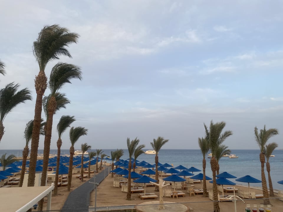 Ausblick Beach Albatros Resort