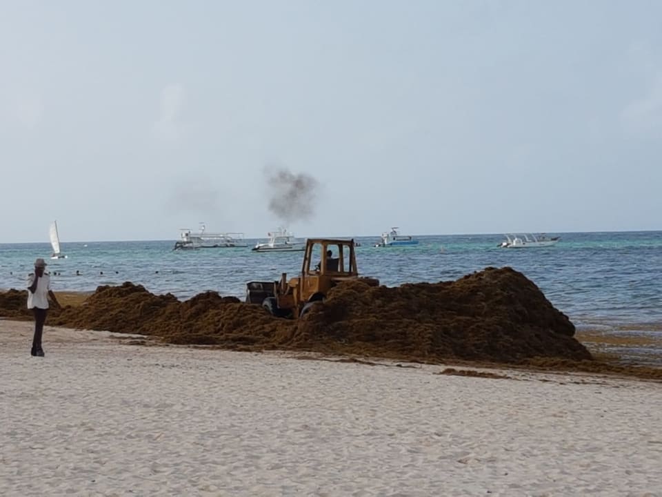 Strand Secrets Royal Beach Punta Cana - Adults only
