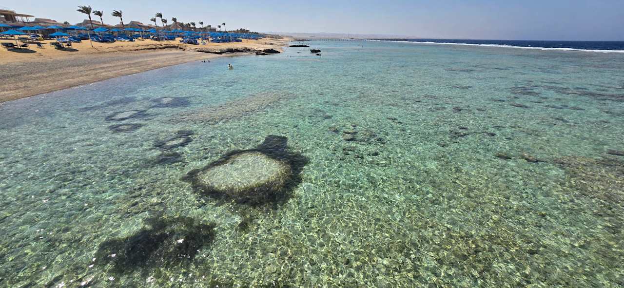 Strand Pickalbatros Sea World Resort - Marsa Alam