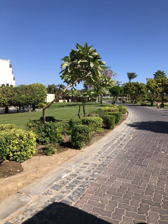 Gartenanlage Steigenberger Aqua Magic