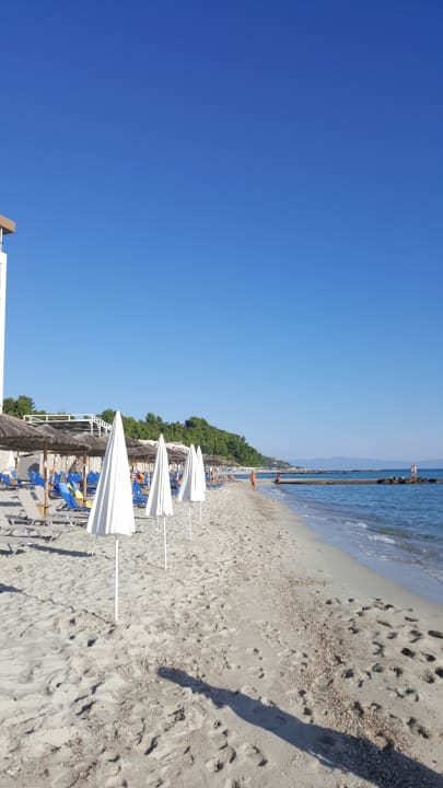 Strand Ammon Zeus Luxury Beach Hotel