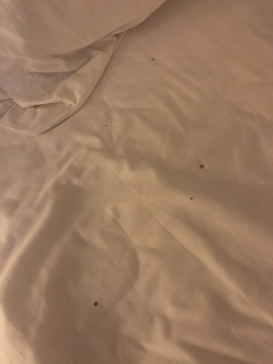 Zimmer Surin Bay Inn Beach Resort