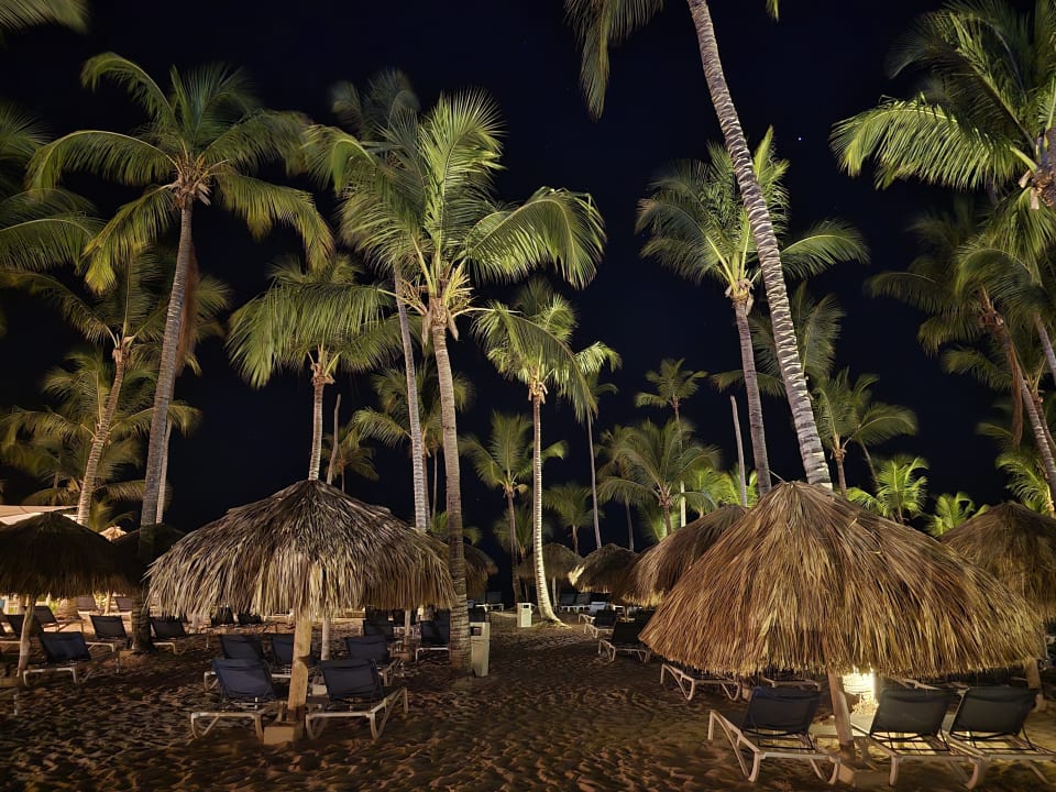 Strand Catalonia Royal La Romana - Adults only