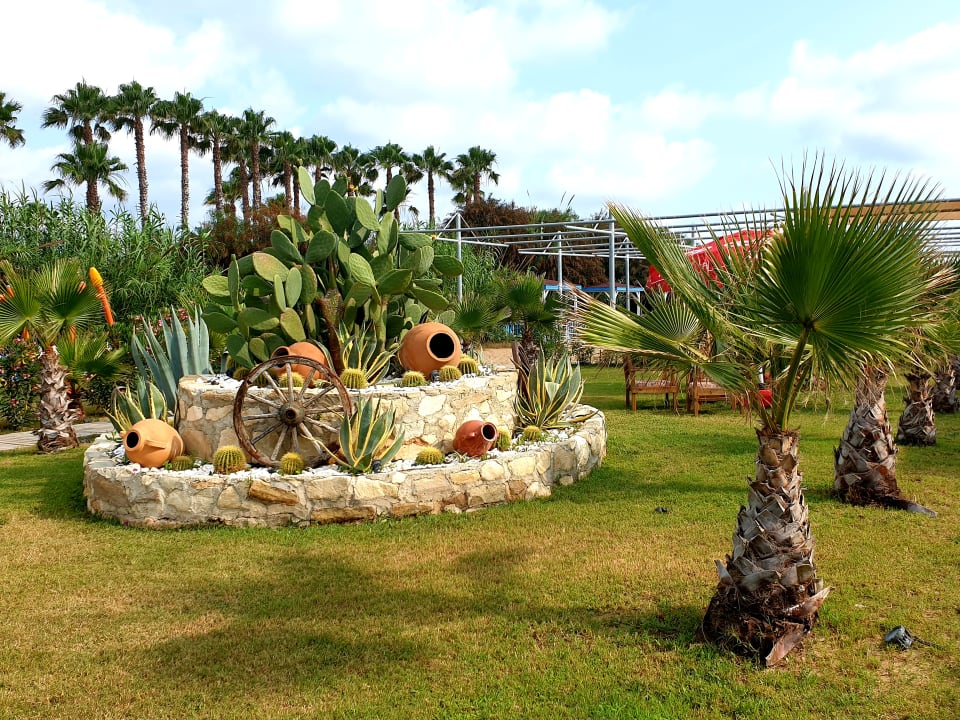 Gartenanlage Dream World Palace Hotel