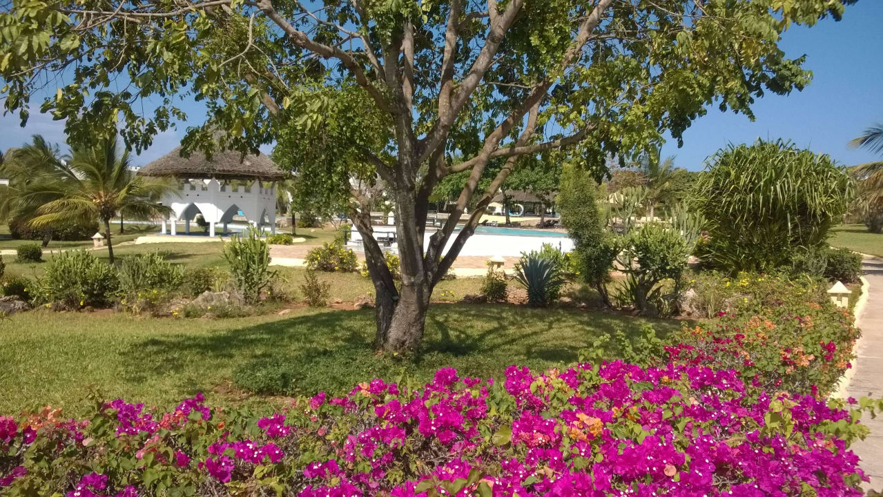 Blick zum Whirlpool Royal Zanzibar Beach Resort