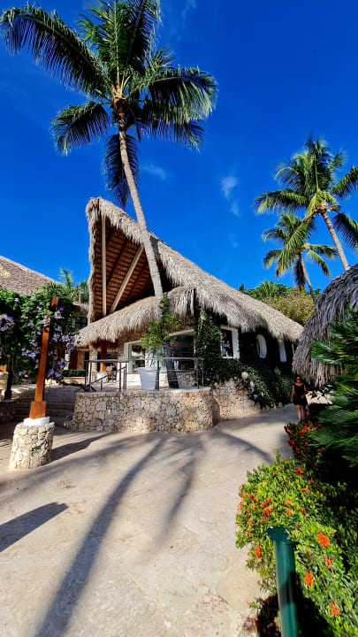 Gartenanlage Hotel Viva Dominicus Beach by Wyndham - All Inclusive Resort