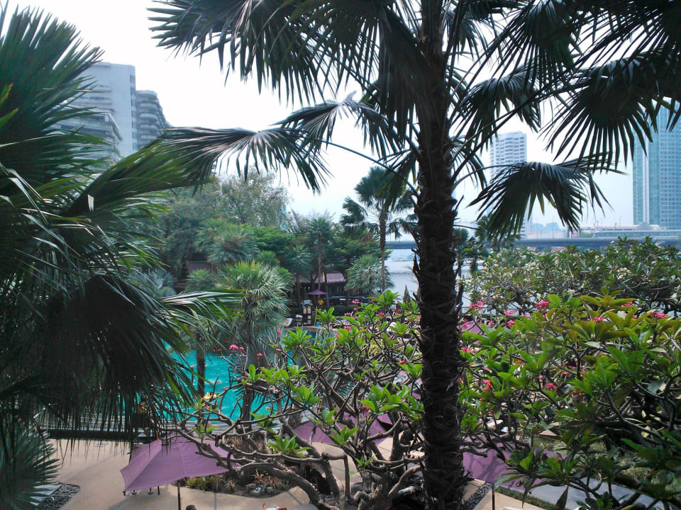 Garten- und Poolbereich des Hotels Shangri-La Hotel, Bangkok