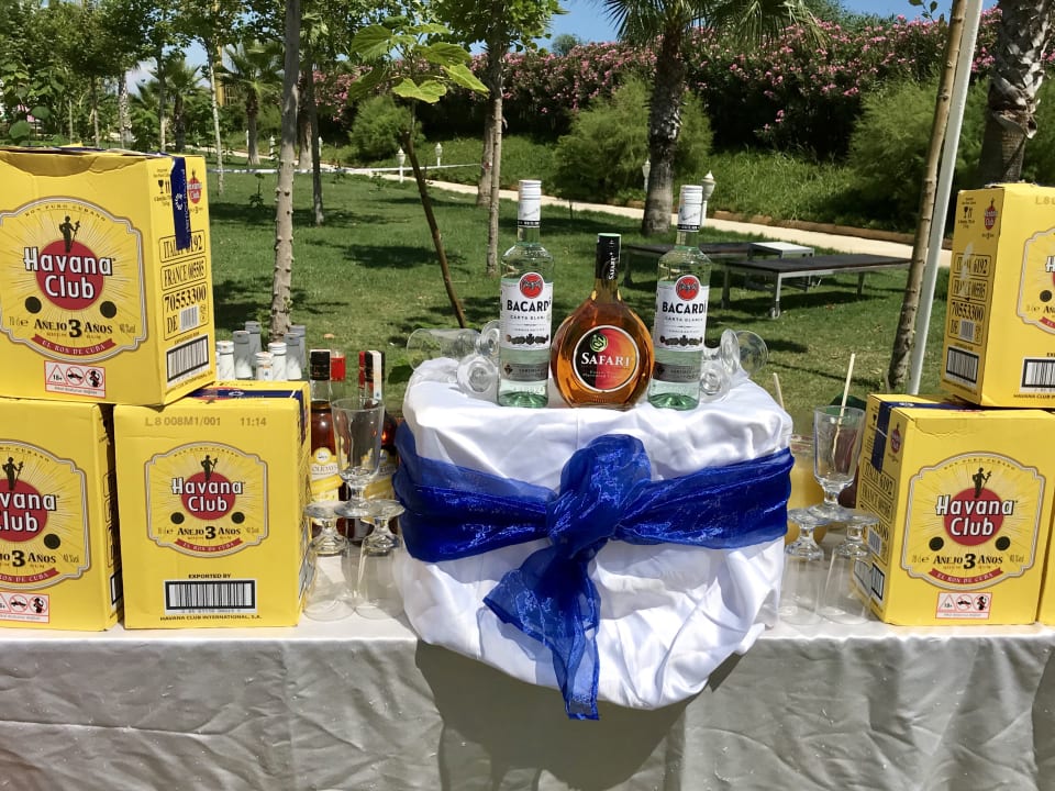 Gastro Delphin BE Grand