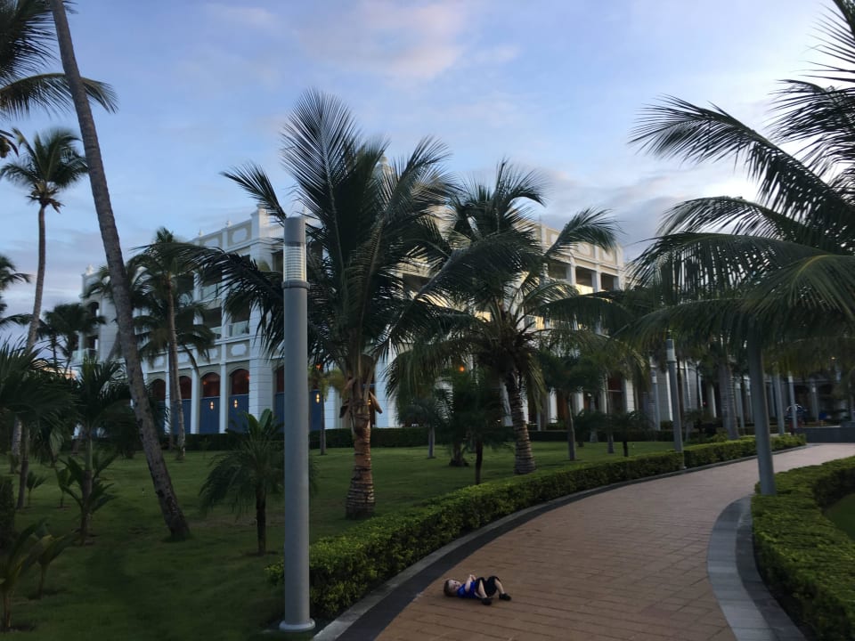Vom Pool Richtung Hotel Hotel Riu Palace Bavaro