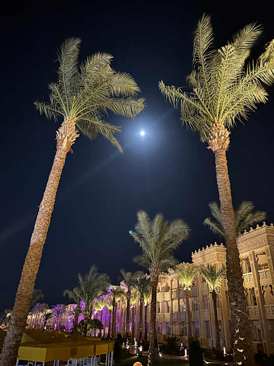 Gartenanlage Pickalbatros Palace Resort