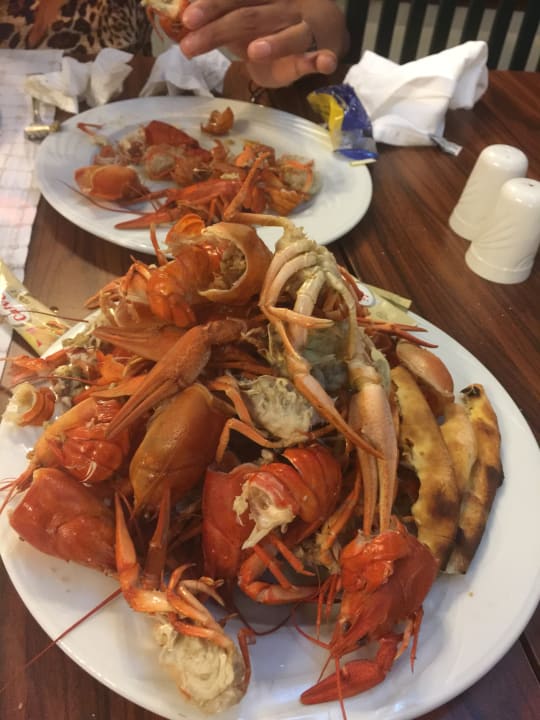 Gastro PALOMA Perissia