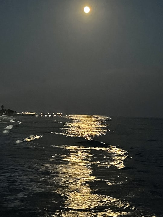 Ausblick Sueno Hotels Beach Side