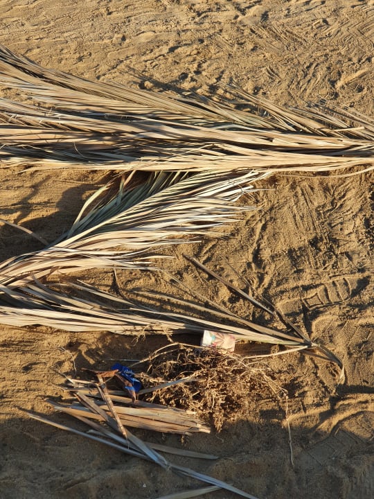 Außenansicht Three Corners Sea Beach Resort